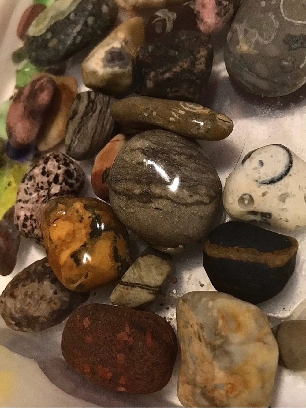 Lake Michigan Great Lakes Pallet. Yooperlites, fossils, beach glass, hag stones. - Picture 12 of 16